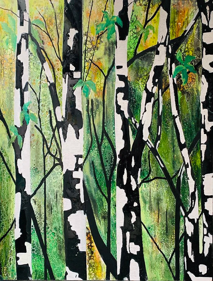 Birch And Forest by Rachel Jeffery