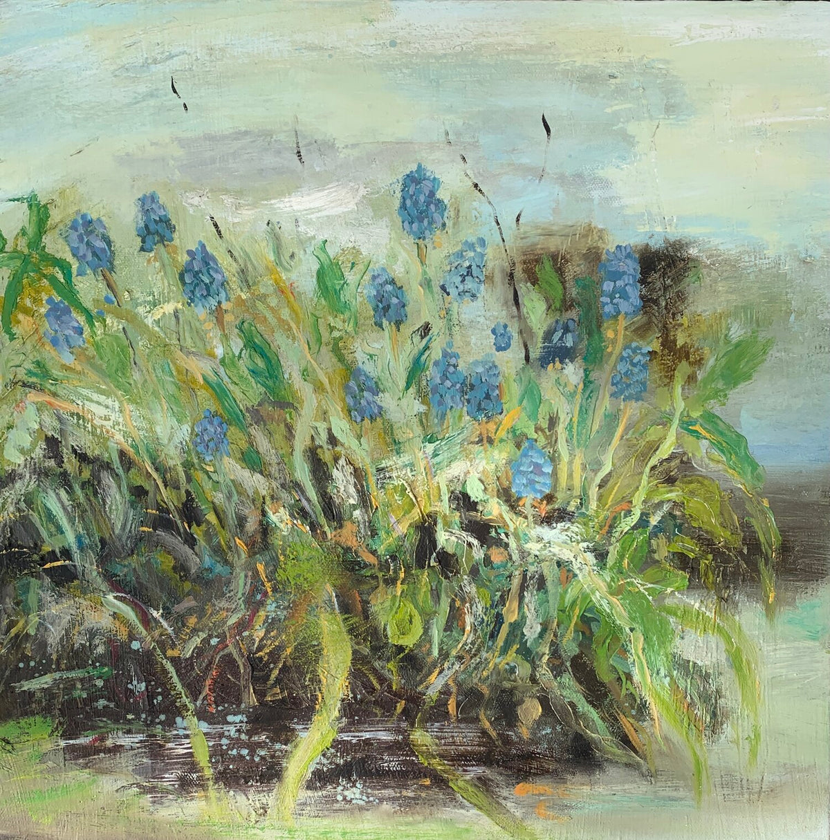 Grapehead Hyacinth by Rachel Jeffery