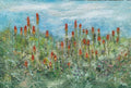 Red Hot Pokers 2 by Rachel Jeffery