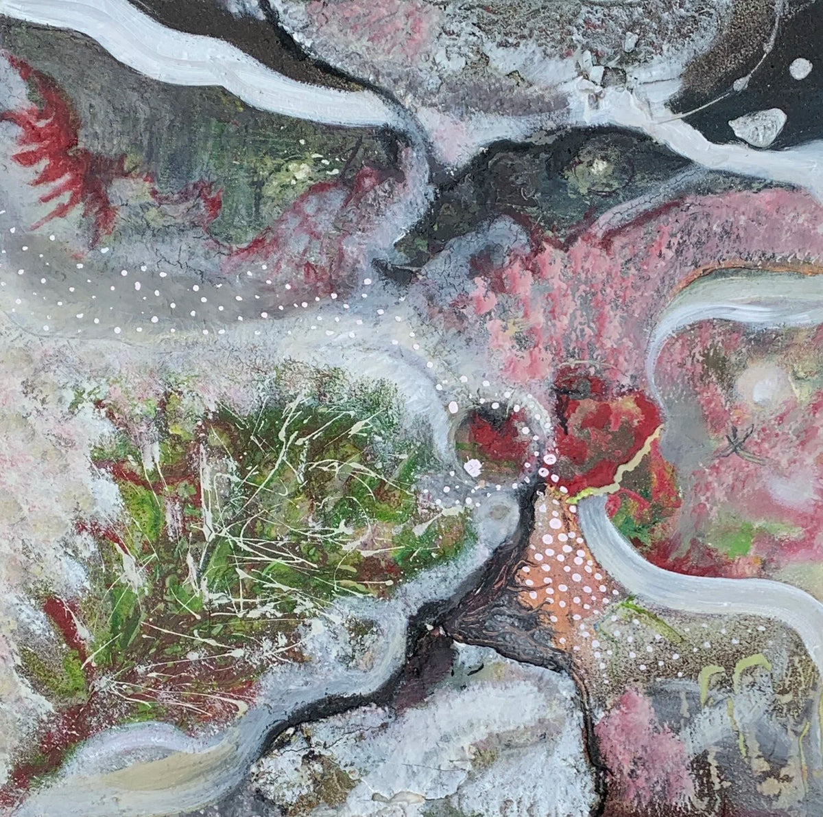 Rock Pool With Seaweed by Rachel Jeffery