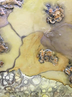 Wai-O-Tapu by Rachel Jeffery