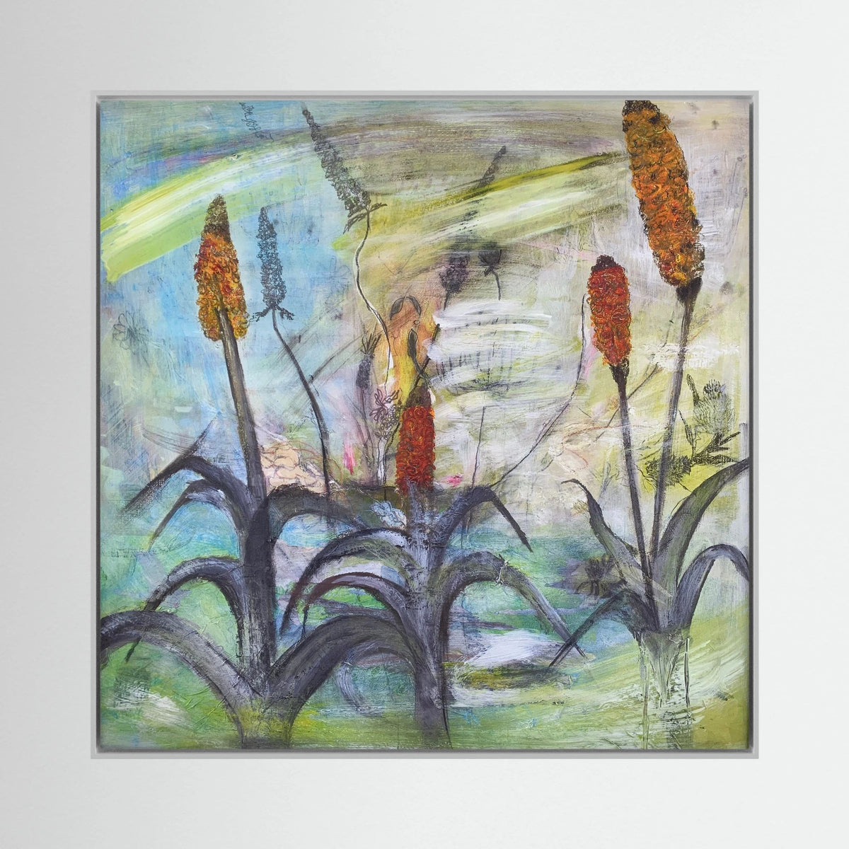 Red Hot Pokers. Canvas Print