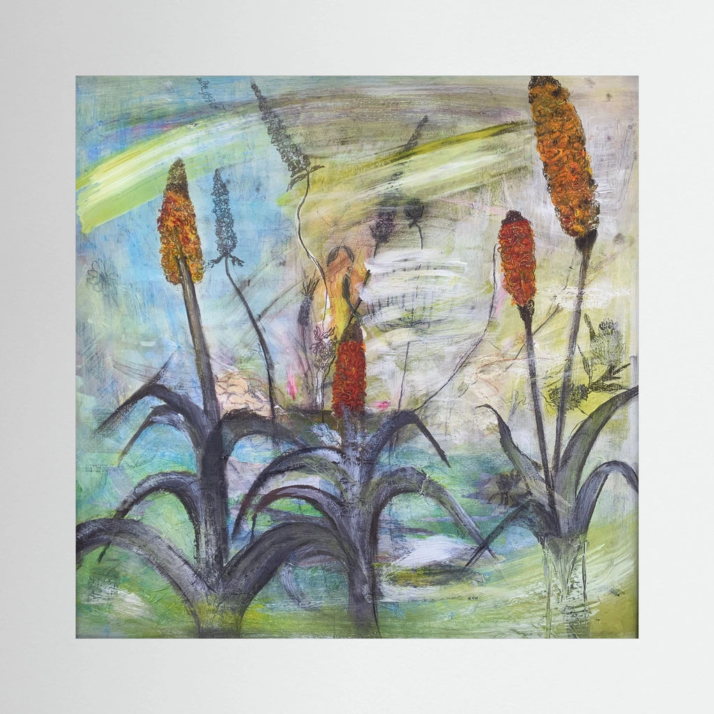 Red Hot Pokers. Canvas Print
